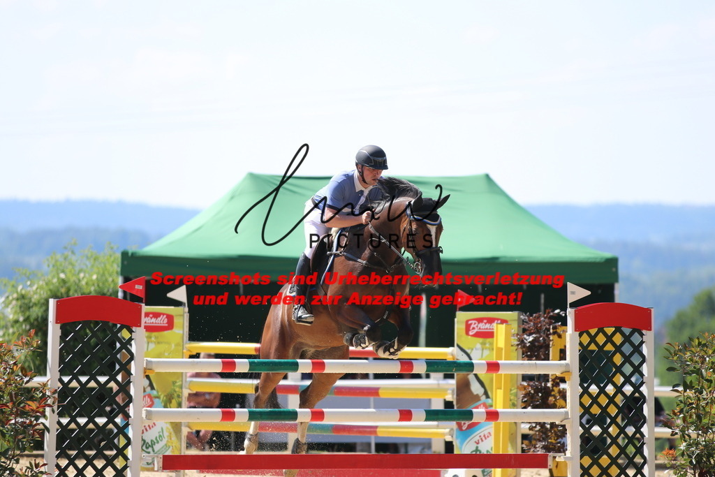 IMG_2803 | lmwpictures - Realisiert mit Pictrs.com