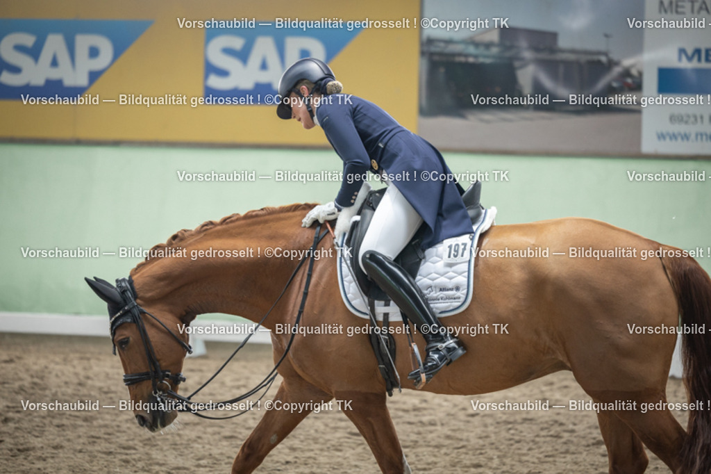 _D5A5308 | Emotionale Pferde- & People-Fotografie rund um Heidelberg, Leimen & Umgebung. Natürliche Fotos von Pferd, Mensch & Familie. Jetzt Termin sichern!