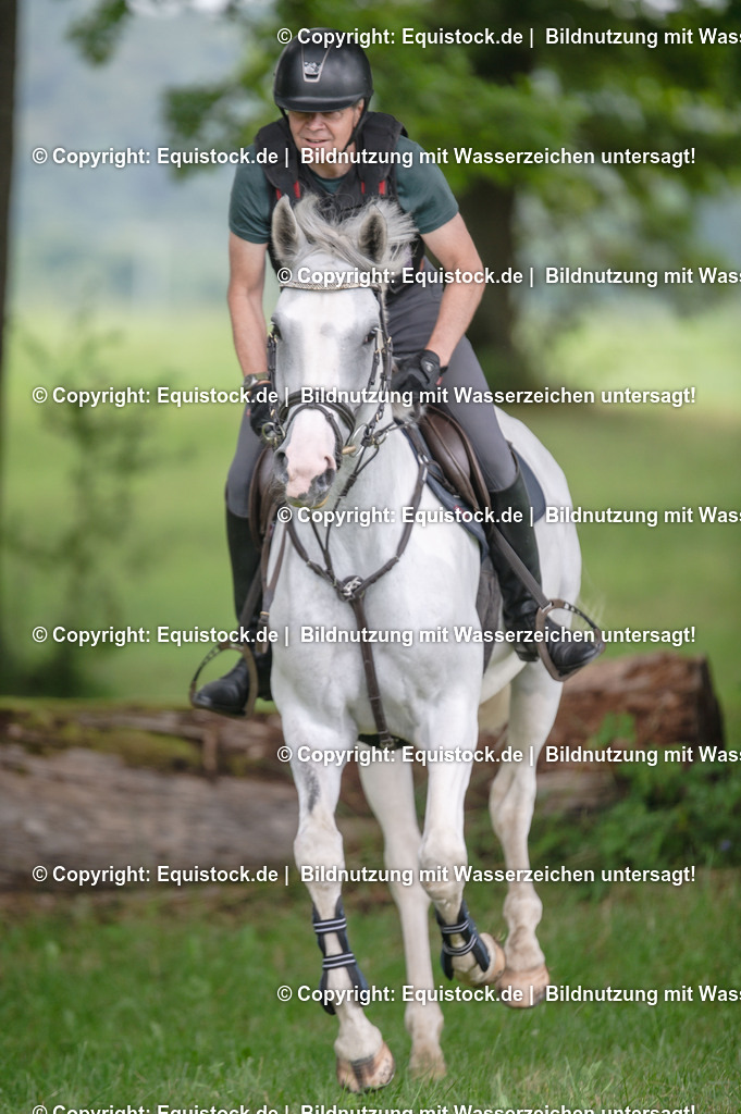 20250726_Vielseitigkeitslehrgang-Marbach_0544 | Foto: Thomas Hartig