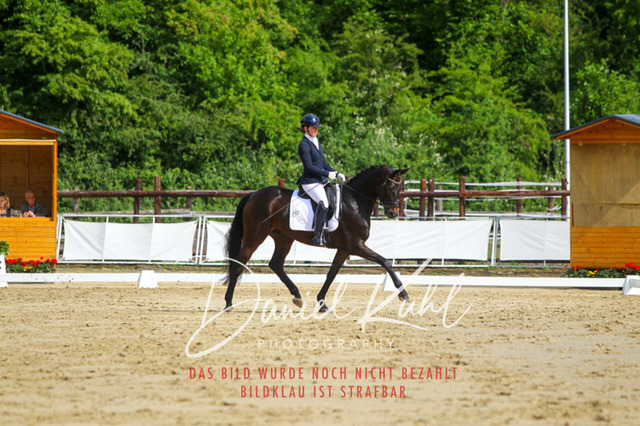 DKP45545 | Turniersportfotografie; Pferdefotografie; Dressurfotografie