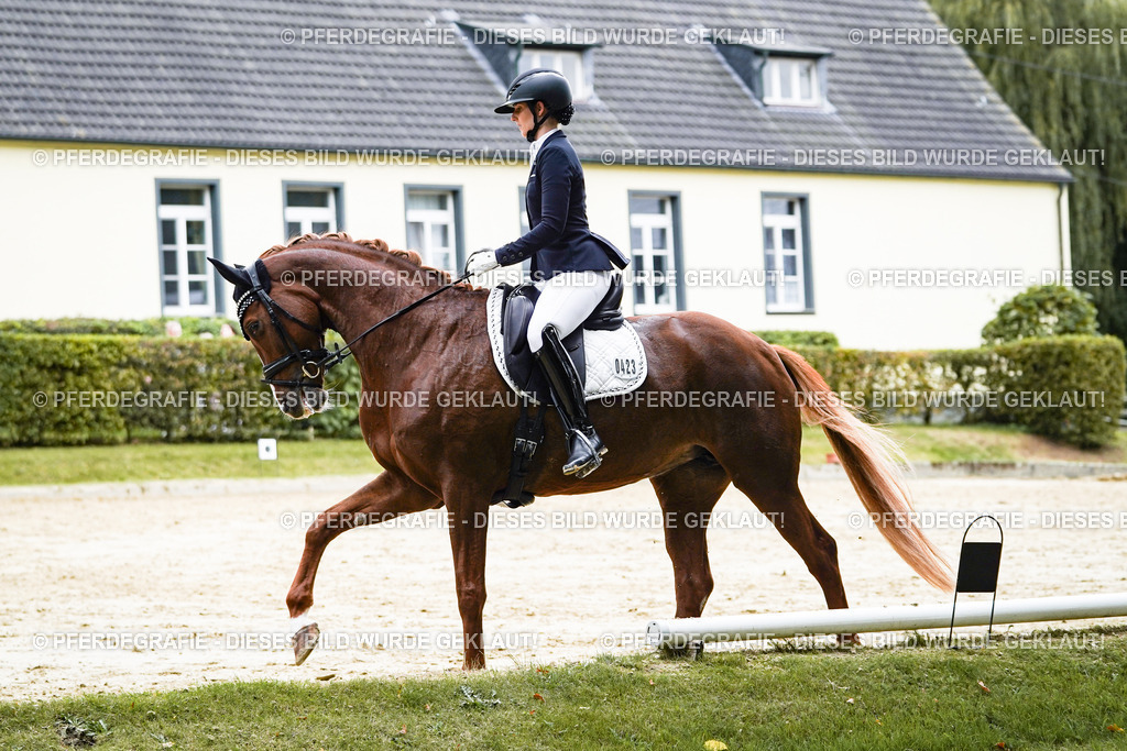 DSC07008 | Pferdegrafie