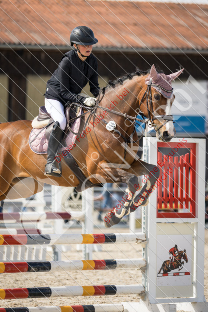 IMG_4236 | Sport-, Event- und Tierfotos in Profiqualität. Einfach auswählen, bestellen und herunterladen. Dein Moment – perfekt festgehalten.