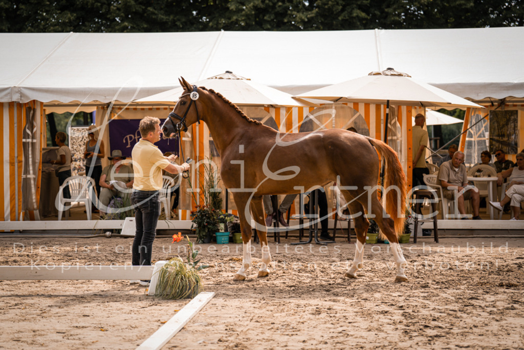 7.Fr00009 | Leoni Ertmer Photography - Realisiert mit Pictrs.com