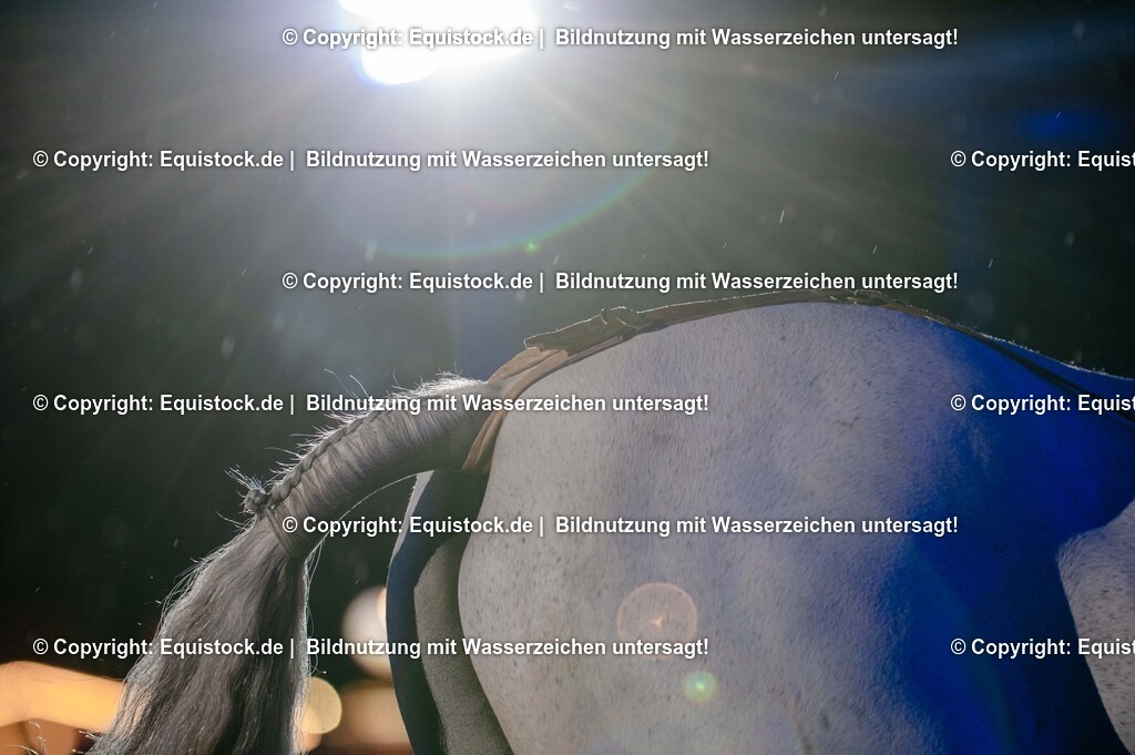 20250606_Lange-Pferdenacht_1112 | Foto: Thomas Hartig