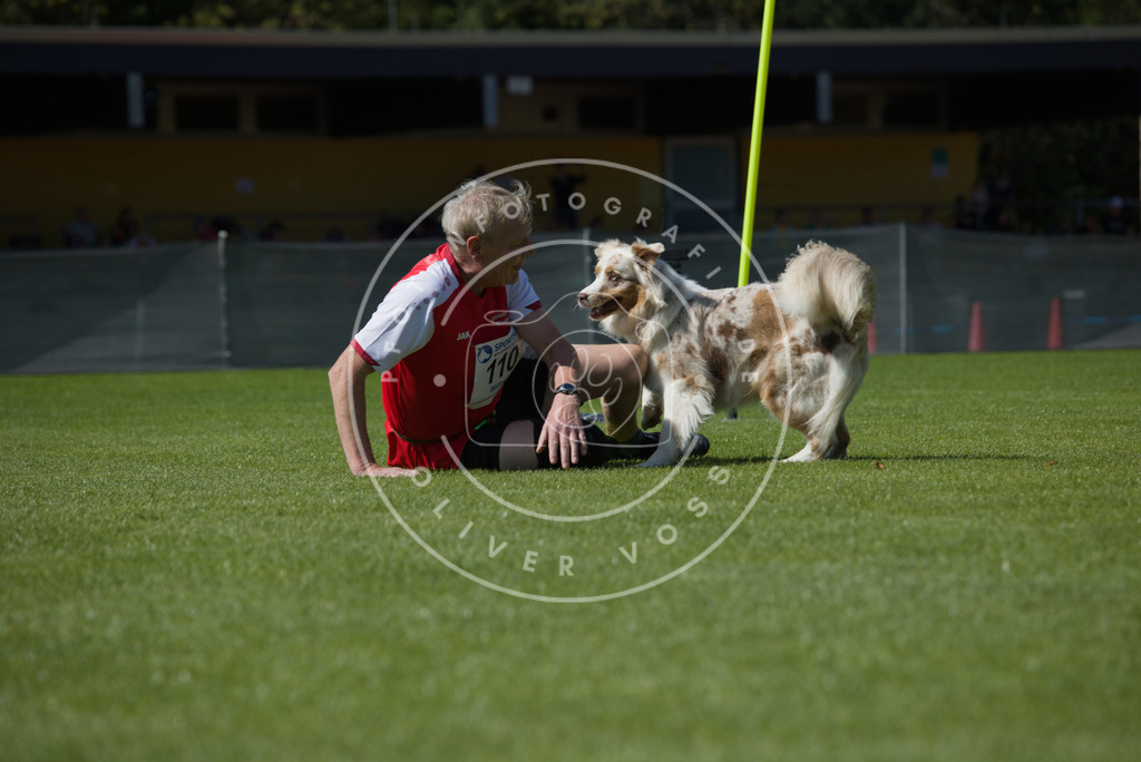 0L8A2692 | Hundefotografie, Tierfotograf, Pfotenfotografie, Fotoshooting Hund, Hunde Portrait, Hundesport, Hundeportraits, Heideshooting, Hunde, Sportfotograf, Hundefotograf, Turnierhundsport, THS,  - Realisiert mit Pictrs.com