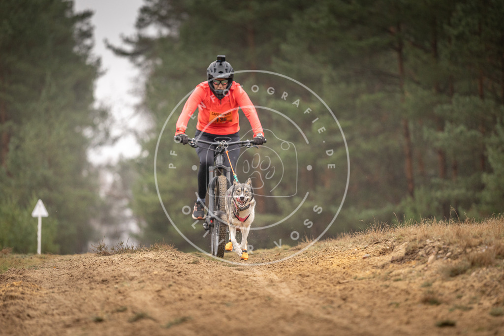 Pfotenfotografie_DV3A3691 | Hundefotografie, Tierfotograf, Pfotenfotografie, Fotoshooting Hund, Hunde Portrait, Hundesport, Hundeportraits, Heideshooting, Hunde, Sportfotograf, Hundefotograf, Turnierhundsport, THS,  - Realisiert mit Pictrs.com