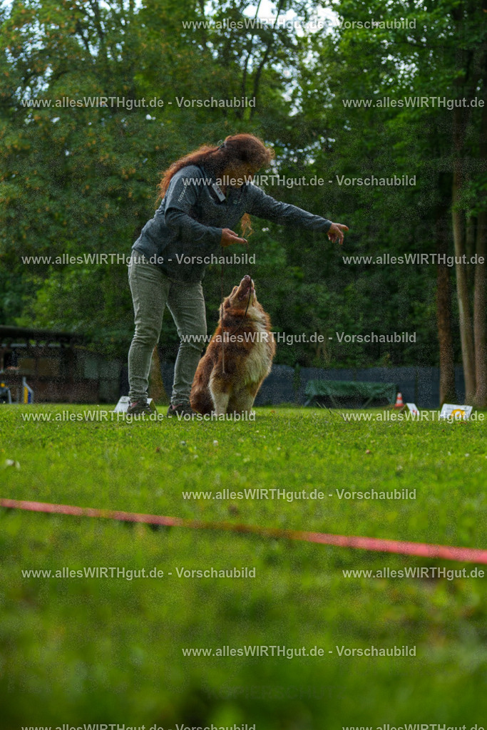 @allesWIRTHgut_Tierfotografie - www.allesWIRTHgut.de - 7R505134 | Professionelle Tierfotografie in Mönchengladbach von Daniel Wirth (allesWIRTHgut). Liebevolle & natürliche Bilder von Hunden & Katzen für unvergessliche Erinnerungen.