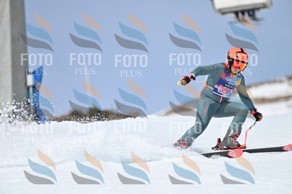 BGV_3799 | holidayphoto