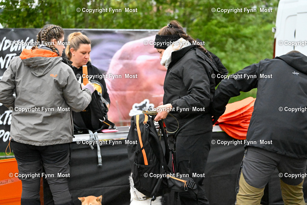 DSC_4611 | Hallo und herzlich Willkommen auf meiner Shop-Seite Fynn Most.

Ich wünsche Dir viel Spaß beim stöbern durch die Bilder, wenn Du Fragen hast oder Bilder vermisst, kannst du mir gerne eine Nachricht schreiben. - Realisiert mit Pictrs.com