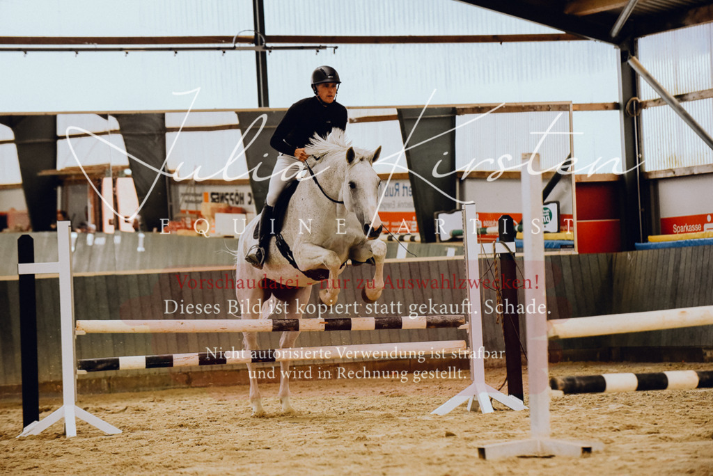 DSC_6980 | Pferde- und Turnierfotografie in Westsachsen. Pferdeportraits, Auftragszeichnungen und intuitive Kunst.