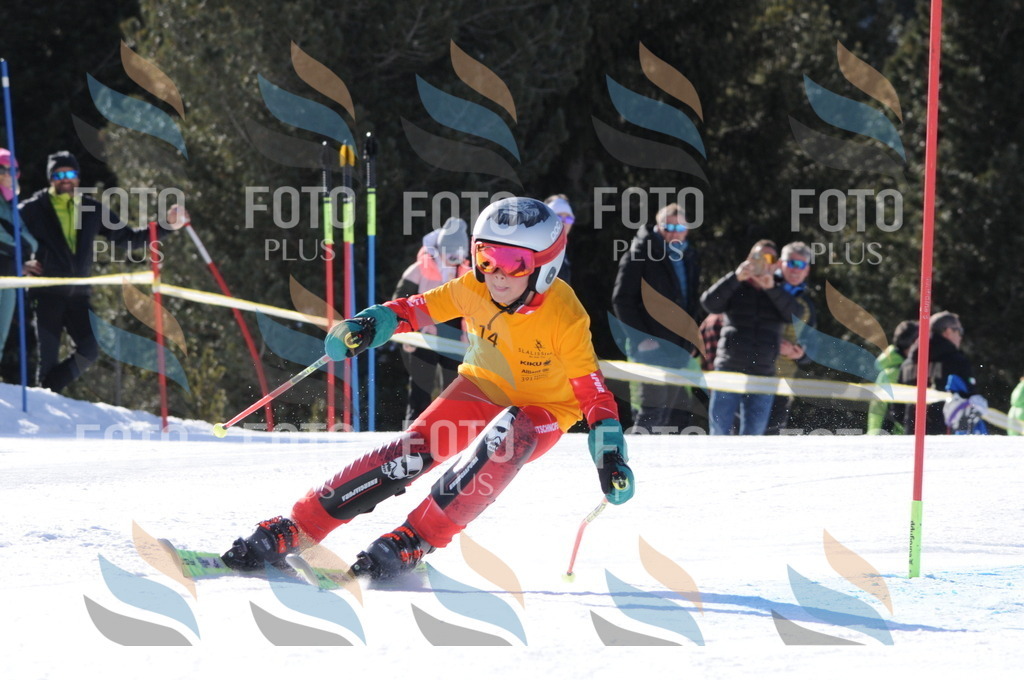 C7136 | holidayphoto