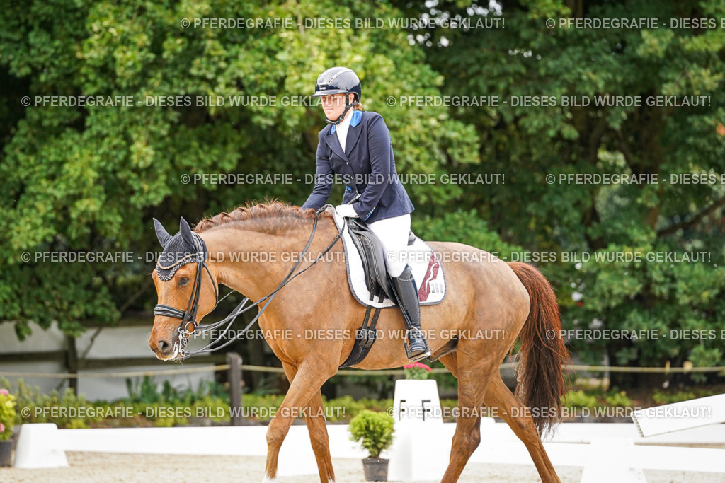 DSC07553 | Pferdegrafie