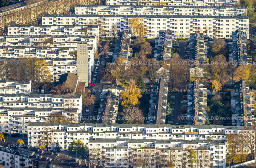 Koeln231104515 | Luftbild, Reihenhaus-Wohnsiedlung Stadtviertel Veedel Buchforst, umgeben von herbstlichen Laubbäumen, Buchforst, Köln, Rheinland, Nordrhein-Westfalen, Deutschland