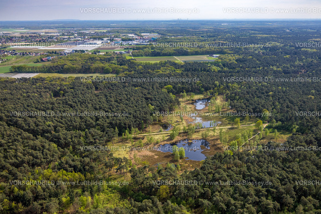 Brueggen240403118HeidhausenHeidemoore-I | Luftbild, Naturschutzgebiet NSG Heidemoore I, Wald und Teiche Feuchtgebiet an der deutsch-niederländischen Grenze, Heidhausen, Brüggen, Niederrhein, Nordrhein-Westfalen, Deutschland