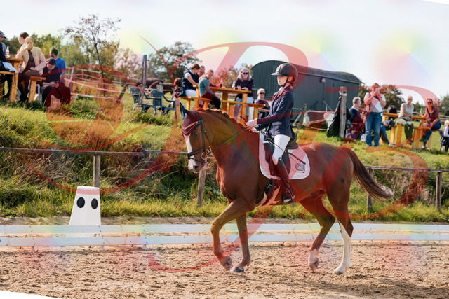 2026_10_03_Siefer-Hof_133005_Z63_91953419 | Professionelle Reitsport-, Turnier- und Eventfotografie von Robert Broda. Galerien mit ausgewählten und bearbeiteten Bildern direkt online ansehen und bestellen.