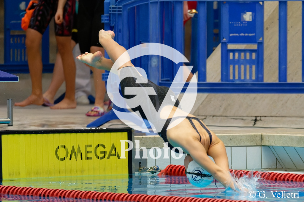 DSC_3595 | Velletri Photo