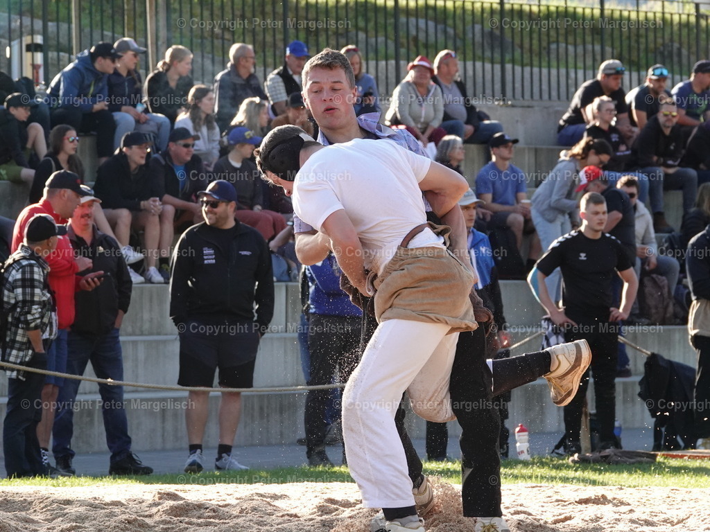 DSC07340 | Schwingen - Realisiert mit Pictrs.com