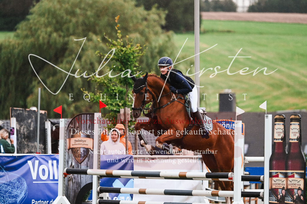 DSC_6376 | Pferde- und Turnierfotografie in Westsachsen. Pferdeportraits, Auftragszeichnungen und intuitive Kunst.