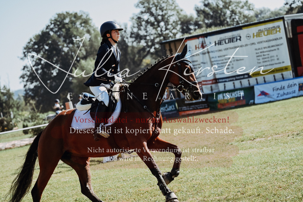 DSC_5542 | Pferde- und Turnierfotografie in Westsachsen. Pferdeportraits, Auftragszeichnungen und intuitive Kunst.