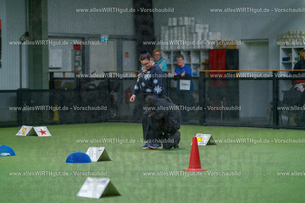 7R503458 | Professionelle Tierfotografie in Mönchengladbach von Daniel Wirth (allesWIRTHgut). Liebevolle & natürliche Bilder von Hunden & Katzen für unvergessliche Erinnerungen.