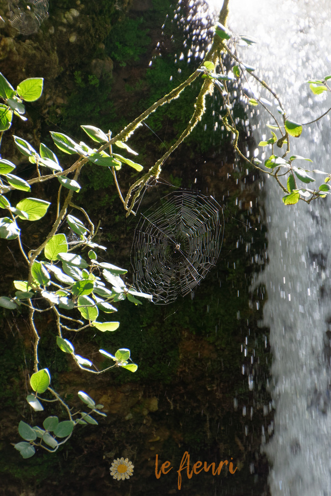 DSC_0225-NEF_DxO_PRIME | Dies ist der Shop von Florian Blum - le fleuri. Langenthal, Bern, SchweizSie können hier meine oder ihre eigenen Fotos als Fotoprodukte kaufen. Tassen, Schlüsselanhänger, Taschen etc. können Sie hier gestalten.  - Realisiert mit Pictrs.com