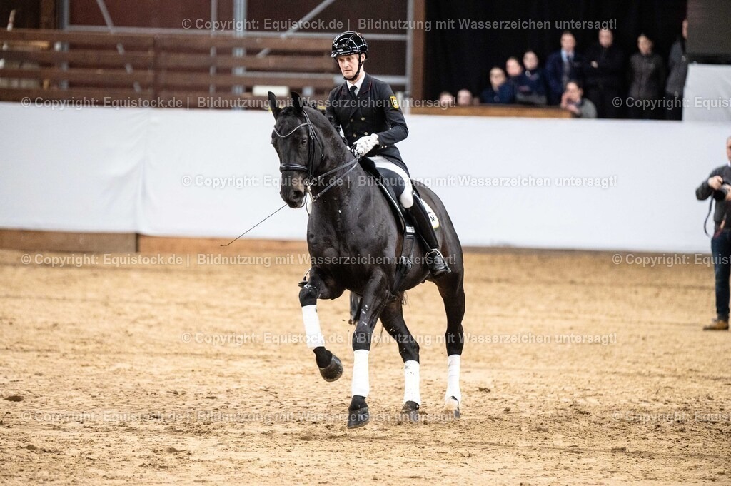 20260307_Hengstvorstellung-Marbach_0502 | equistock