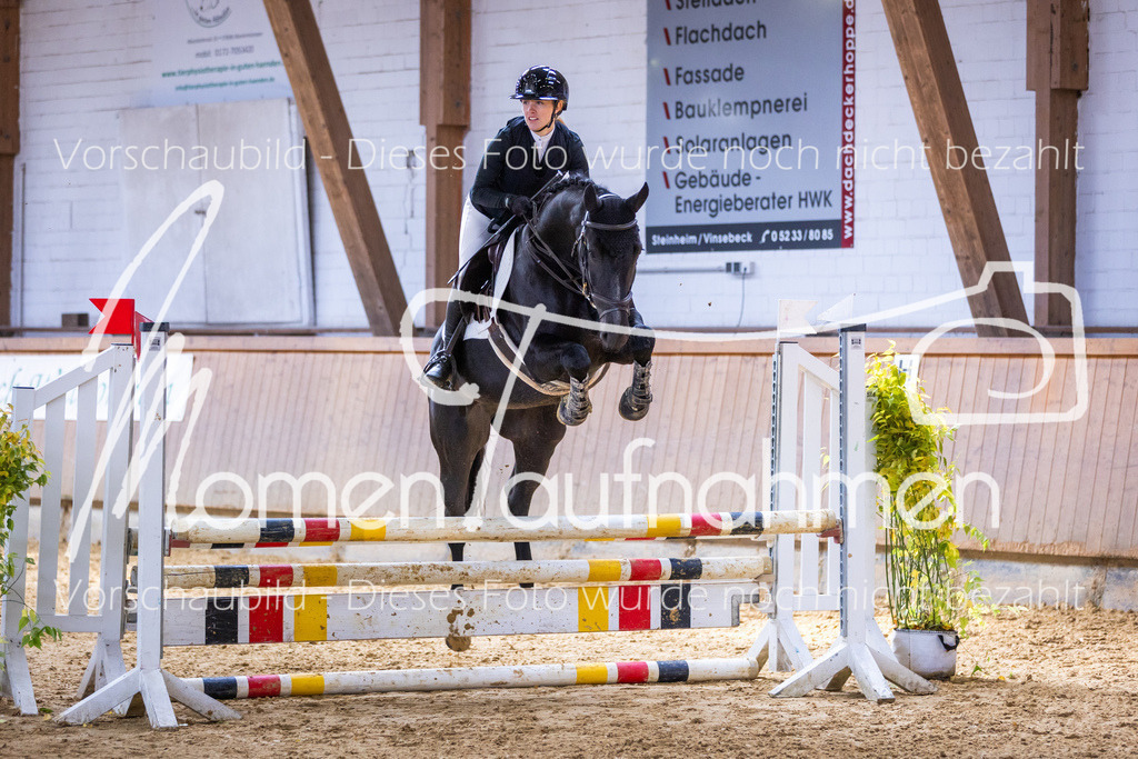 Sth-Gewöhnung-022 | MomenTaufnahmen Pferdesportfotos