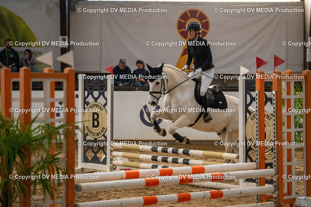 Kranichstein Tag 2-0875 | dv-media-shop - Realisiert mit Pictrs.com