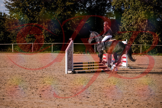 2026_10_03_Siefer-Hof_154245_Z81_60380104 | Professionelle Reitsport-, Turnier- und Eventfotografie von Robert Broda. Galerien mit ausgewählten und bearbeiteten Bildern direkt online ansehen und bestellen.