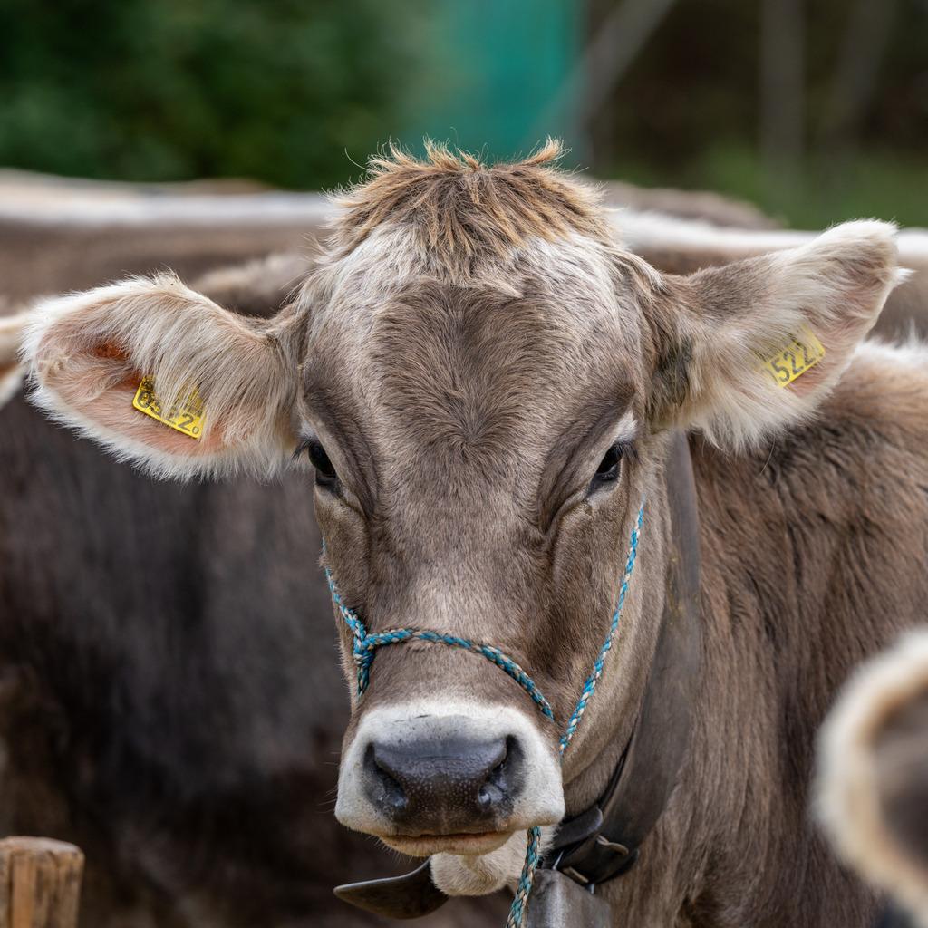 2023_09_23 A7V00136 | bridgeman - Realisiert mit Pictrs.com