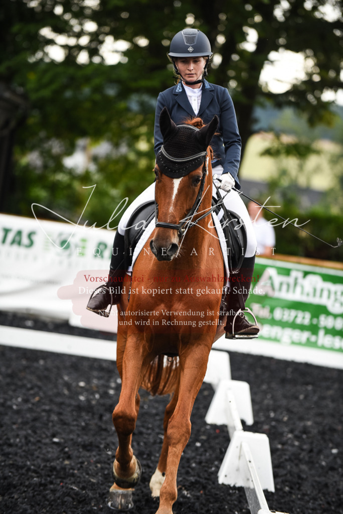 DSC_2765 | Pferde- und Turnierfotografie in Westsachsen. Pferdeportraits, Auftragszeichnungen und intuitive Kunst.