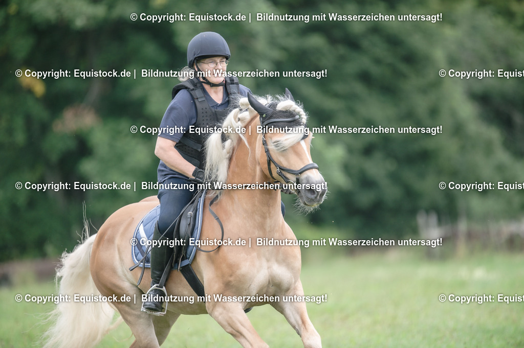 20250726_Vielseitigkeitslehrgang-Marbach_0498 | Foto: Thomas Hartig