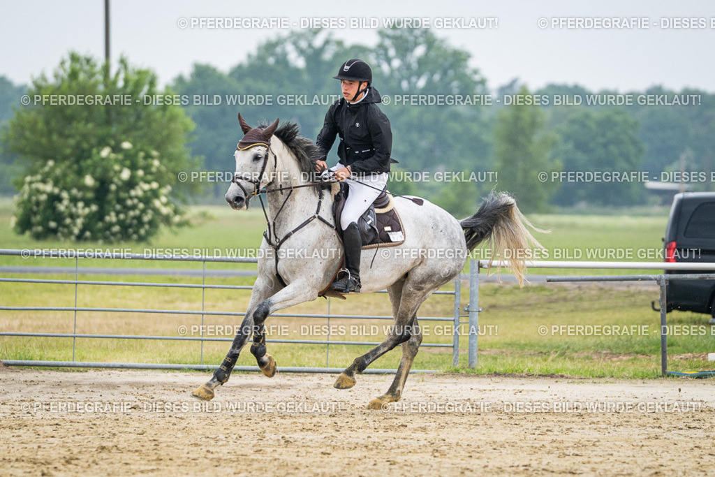 DSC00499 | Pferdegrafie