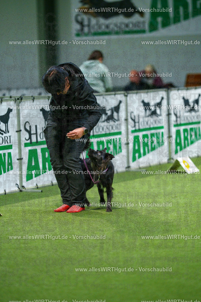 7R505758 | Professionelle Tierfotografie in Mönchengladbach von Daniel Wirth (allesWIRTHgut). Liebevolle & natürliche Bilder von Hunden & Katzen für unvergessliche Erinnerungen.
