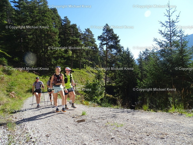 DSC03020 | Michael Krenz