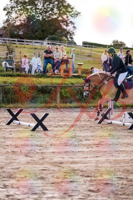 2026_10_03_Siefer-Hof_145301_Z81_32275304 | Professionelle Reitsport-, Turnier- und Eventfotografie von Robert Broda. Galerien mit ausgewählten und bearbeiteten Bildern direkt online ansehen und bestellen.