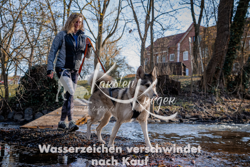 0815_ZZ90277 | kk-dogfotos