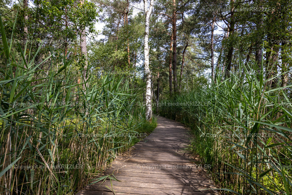 _J3A5403 | medienkrizzler - Realisiert mit Pictrs.com