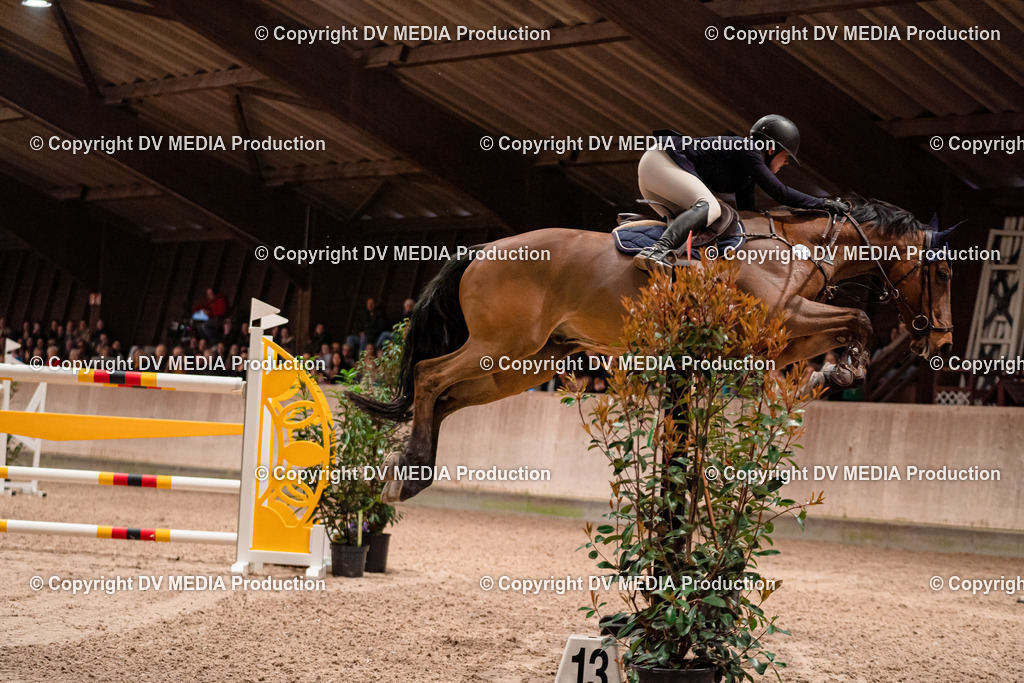 Springen Tag 3-595 | dv-media-shop - Realisiert mit Pictrs.com