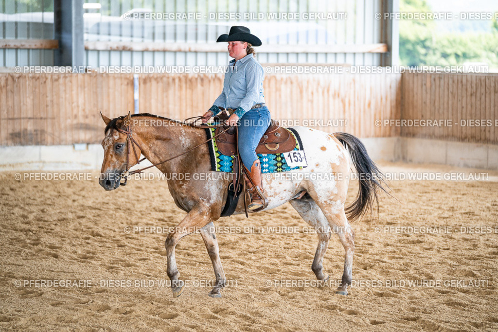 DSC02062 | Pferdegrafie