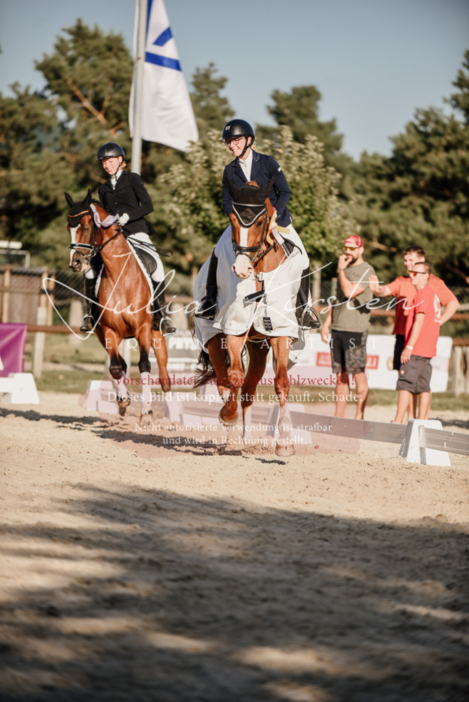 DSC_0754 | Pferde- und Turnierfotografie in Westsachsen. Pferdeportraits, Auftragszeichnungen und intuitive Kunst.