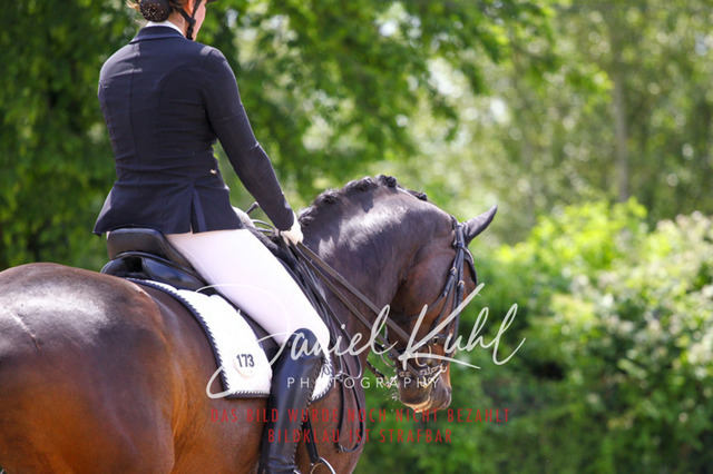 DKP41001 | Turnierfotos kaufen im Webshop von Daniel Kuhl Photography – entdecke professionelle Reitsportfotos aus Turnieren & Events. Hochwertige Turnierbilder online bestellen & sichern. Jetzt Fotos von Reitsportturnieren kaufen!