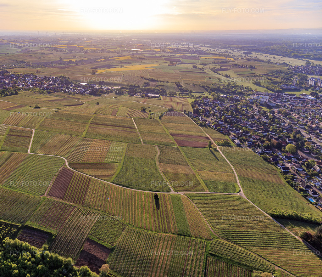 Aerial view: Sonnenberg vineyard in Wissembourg in the state Bas-Rhin, France. – Photo: IMG_107012.jpg taken on 04/27/2018 by Werner Riehm/FLY-FOTO.com – Resolution of the original: 4247 x 3648 px