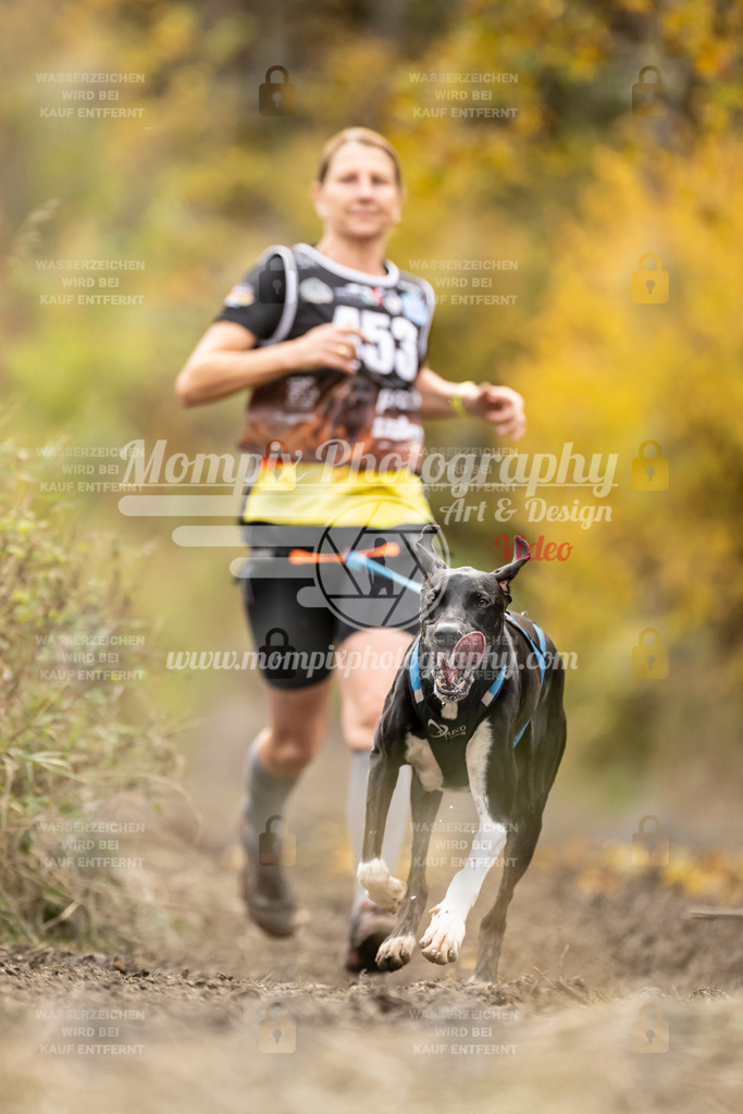 MompixPhotography_ICF_WC_2024_SA_Run_-471 | PayLife
