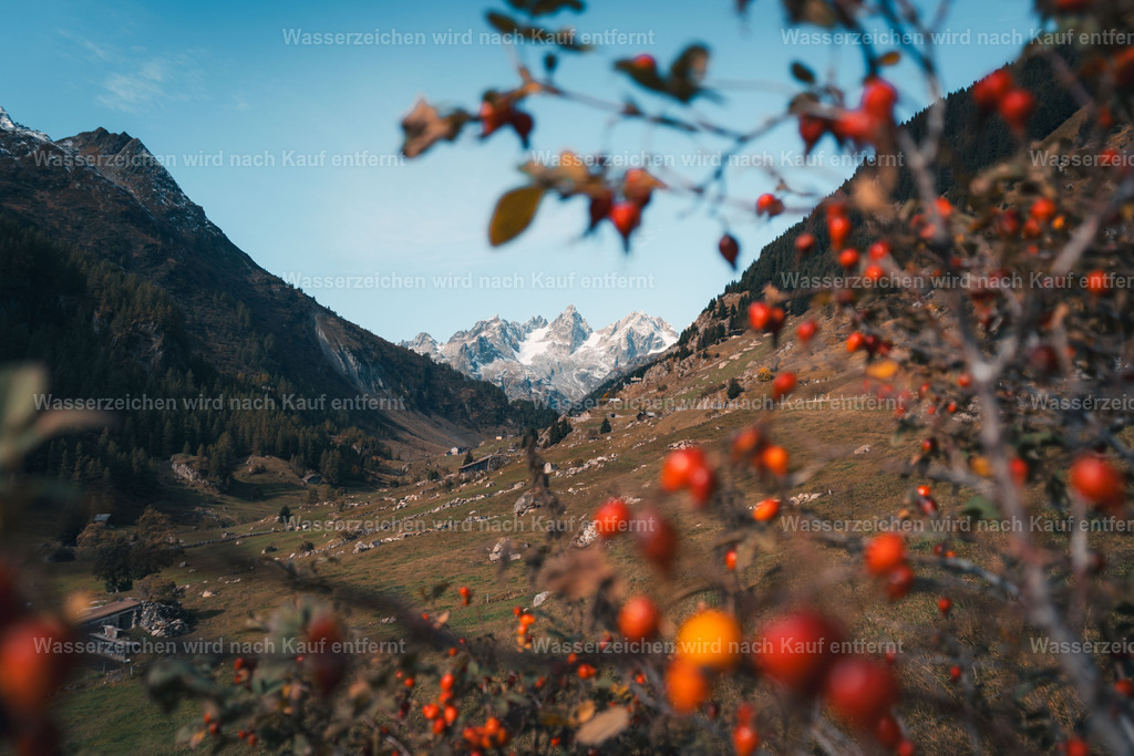 DSC01165 | FramedWorld - Realisiert mit Pictrs.com