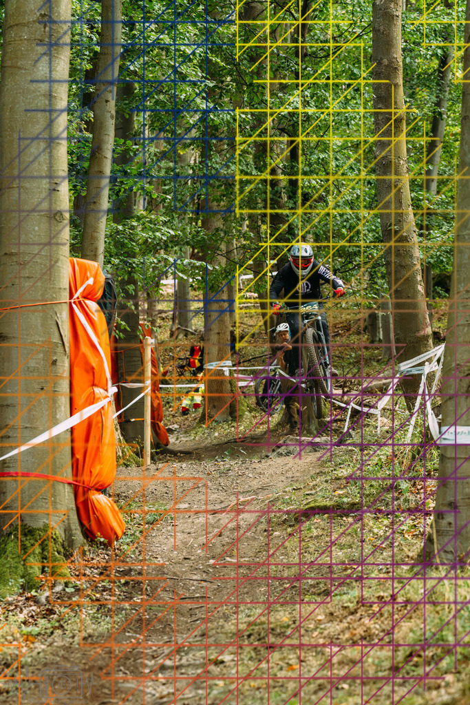PAE-0405 | Einzigartige Fotokunst für dein Zuhause: Entdecke hochwertige Wandbilder, edle Prints und emotionale Motive von Wildlife, Natur und Landschaften - Realisiert mit Pictrs.com