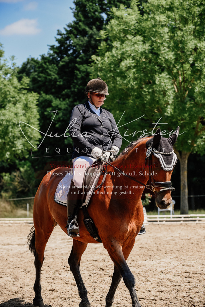 DSC_2003 | Pferde- und Turnierfotografie in Westsachsen. Pferdeportraits, Auftragszeichnungen und intuitive Kunst.