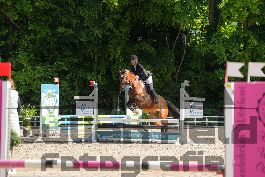 DSC02032 | Julian Held Fotografie - Realisiert mit Pictrs.com