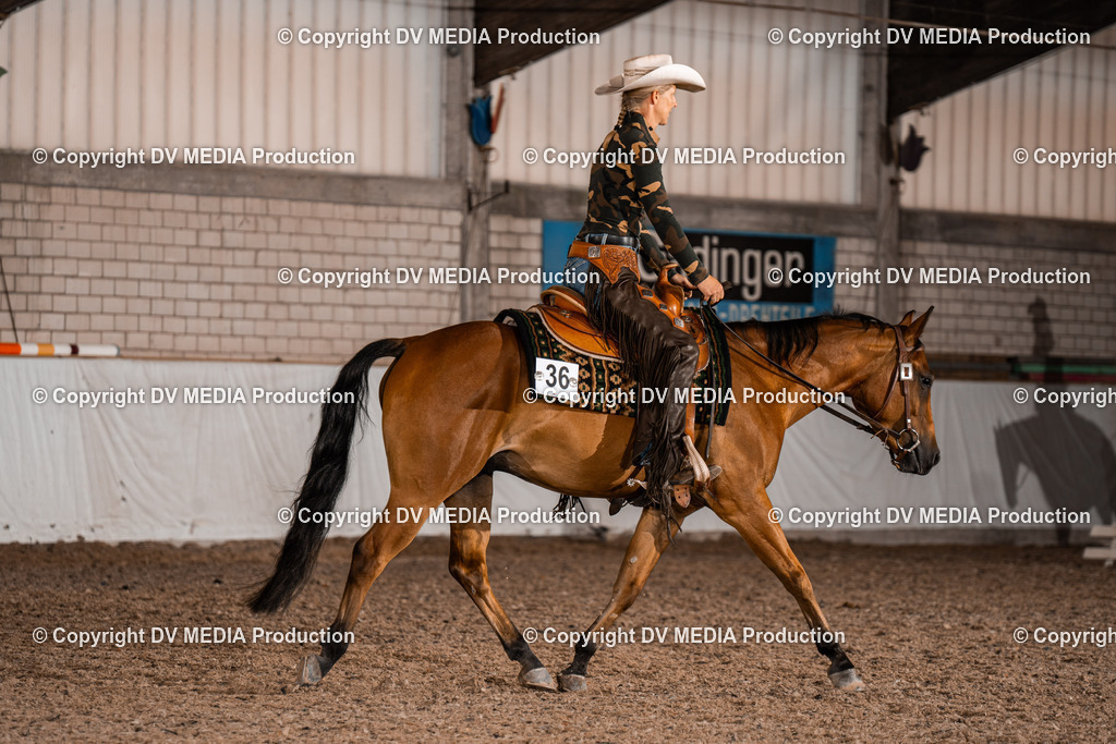 ZH300247 | dv-media-shop - Realisiert mit Pictrs.com