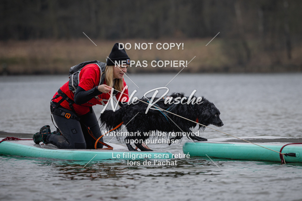 nelerasche_Hulsbeek_Sa1430-1515_340 | nelerasche